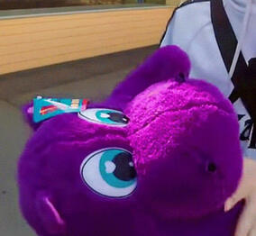 Plushie he won on a US Theme Park