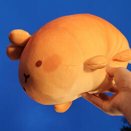 Molamg he got on Talk X Today S4